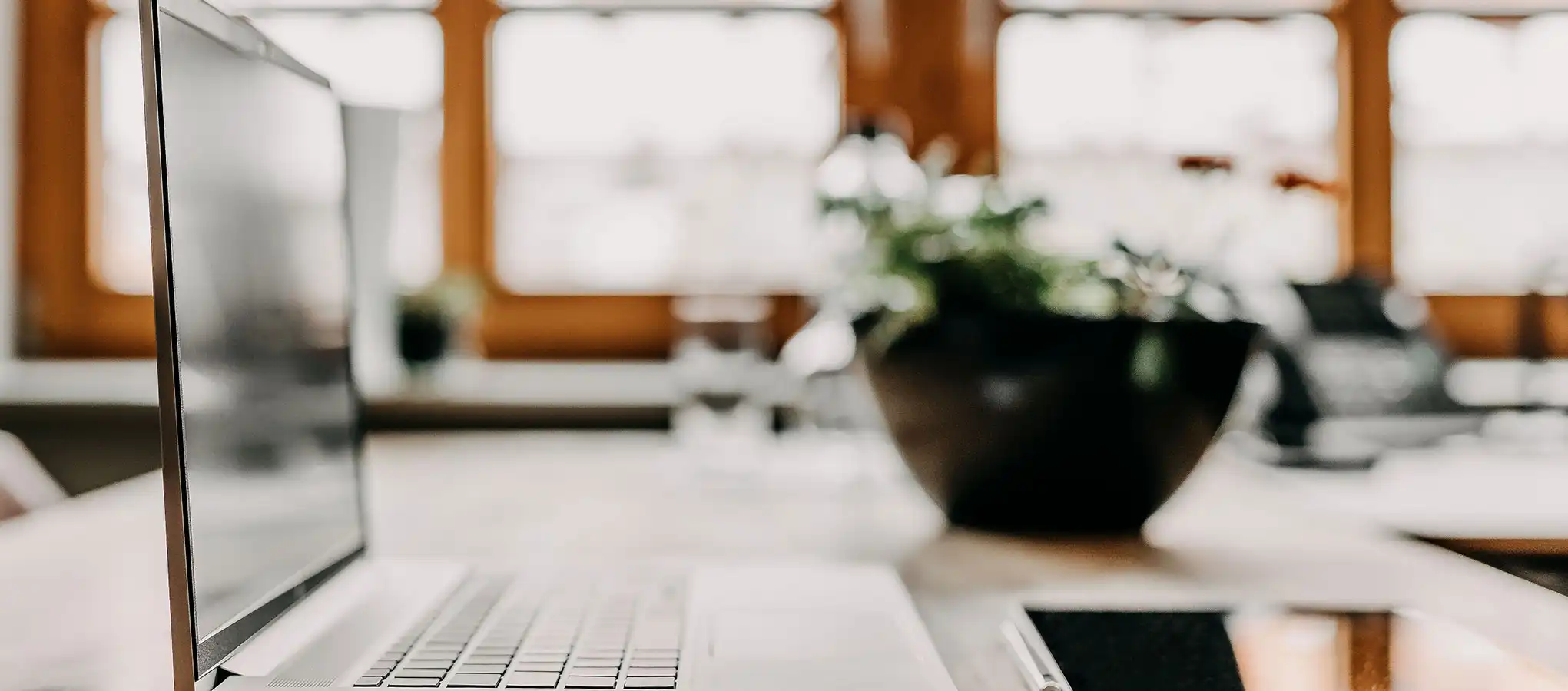 Imagebild aus den Räumen von Kölzer Steuerberatungsgesellschaft in Landau. Unscharfe Sicht in die Büroräume mit Blick über einen Laptop und Pflanze auf helle lichtdurchflutete Fenster.